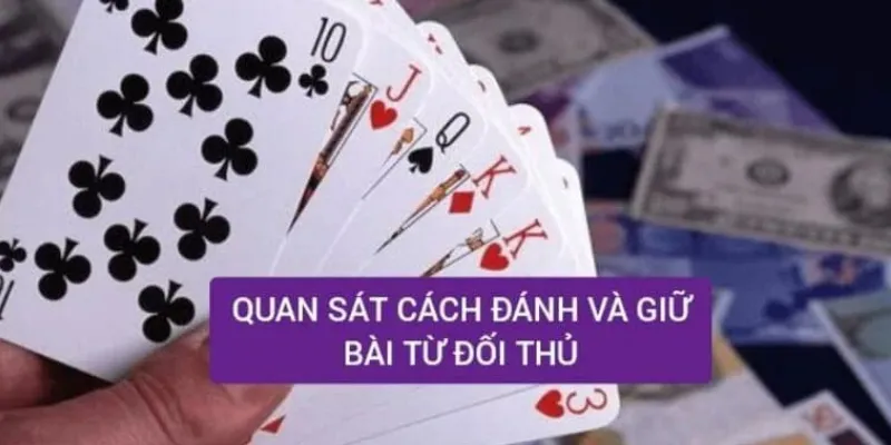 mẹo chơi bài tiến lên miền ban né heo không bị chặt